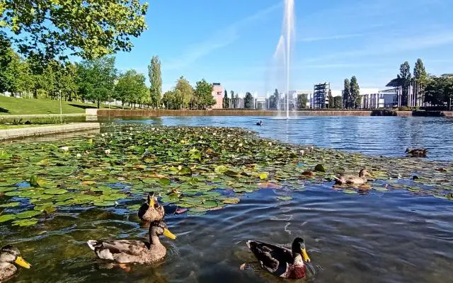 Riemer Park Munich featuring Ducks and a Fountain in summer