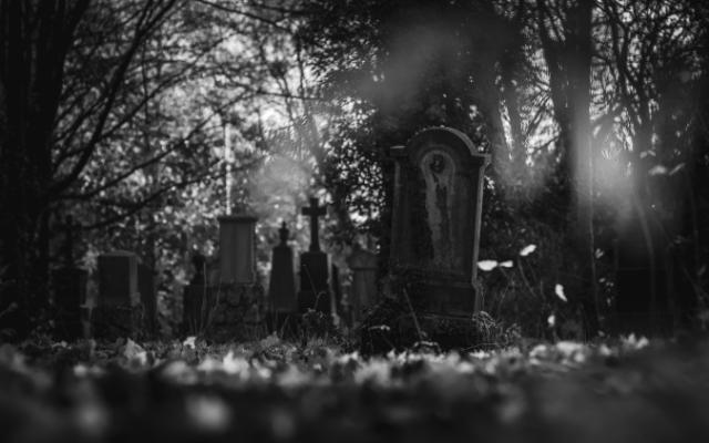 Alter Südfriedhof Munich Cemetery atmospheric black and white shot