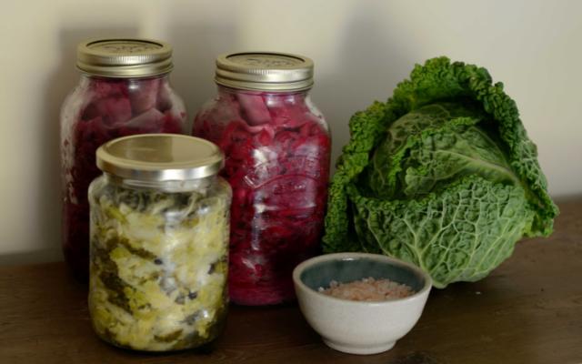 Sauerkraut Origin featuring sauerkraut in jars at home